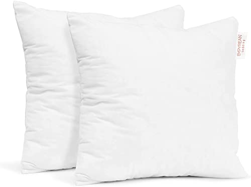 Empyrean Bedding Throw Pillow - 24 x 24 Inches Decorative Pillow Insert - Cotton Blend Outer Shell Indoor & Outdoor Pillows (Pack of 2, White)