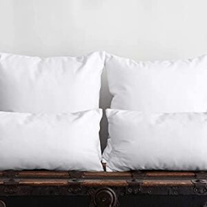 Empyrean Bedding Throw Pillow - 24 x 24 Inches Decorative Pillow Insert - Cotton Blend Outer Shell Indoor & Outdoor Pillows (Pack of 2, White)