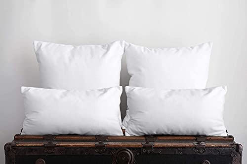 Empyrean Bedding Throw Pillow - 24 x 24 Inches Decorative Pillow Insert - Cotton Blend Outer Shell Indoor & Outdoor Pillows (Pack of 2, White)