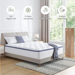 Dourxi Twin Mattress, 12 Inch Hybrid Mattress in a Box with Gel Memory Foam, Individually Pocketed Springs for Support and Pressure Relief - Medium Plush