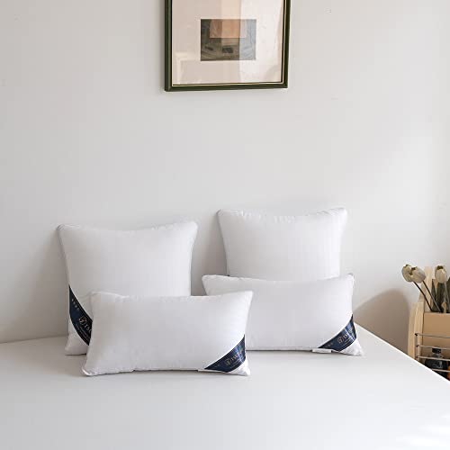 TSUTOMI 12x20 Pillow Insert Set of 2 for Pillow Stuffing, Decorative Pillows for Bed, 12 x 20 Pillow Fillers and Down Lumbar Pillow Insert, Oblong Small Pillow Couch Pillow Throw Pillow Insert