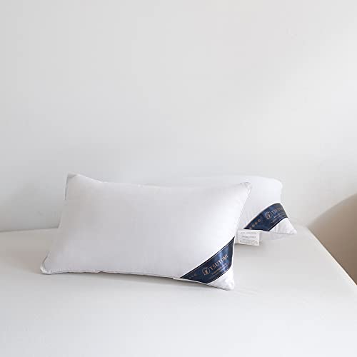 TSUTOMI 12x20 Pillow Insert Set of 2 for Pillow Stuffing, Decorative Pillows for Bed, 12 x 20 Pillow Fillers and Down Lumbar Pillow Insert, Oblong Small Pillow Couch Pillow Throw Pillow Insert