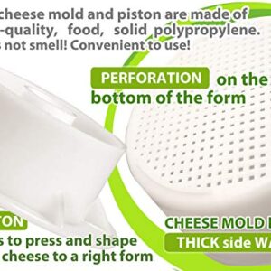 Cheesemaking Kit Cheese Mold Press Strainer Cheese With Follower Piston 1.2 L - Tofu Press Mold Cheese Making Kit Machine – Cheese Set for Press - Paneer Maker - Cheesemaking Suppliest