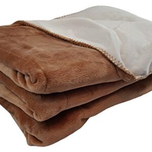 FASCIINO Super Soft Plush Velour Mink Borrego Blanket Throw Queen or Full Size Bed (Camel Brown)