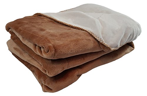 FASCIINO Super Soft Plush Velour Mink Borrego Blanket Throw Queen or Full Size Bed (Camel Brown)