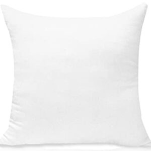 JIEITIVE Throw Pillow Inserts Hypoallergenic Premium Pillow Stuffer Square Form for Decorative Pillow Covers Cushion Bed Couch Sofa Set of 1 - 18 x 18 Inches