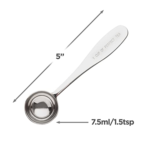 Loose Leaf Tea Spoon Measure | One Cup of Perfect Tea | Stainless Steel Scoop