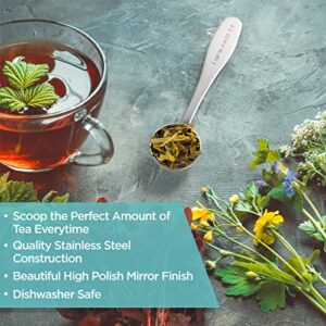 Loose Leaf Tea Spoon Measure | One Cup of Perfect Tea | Stainless Steel Scoop