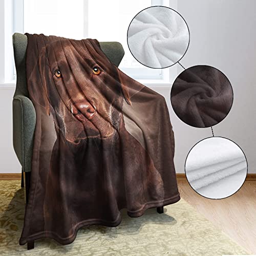 HommomH Chocolate Lab Blanket, Brown Labrador Dog Print, Soft Fluffy Fleece Throw, 50"x80"