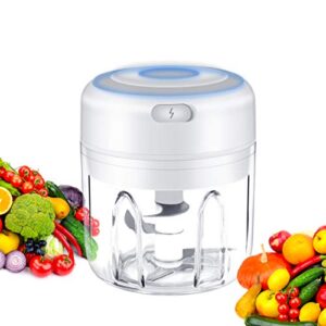 electric mini garlic chopper, portable food processor, vegetable chopper onion mincer, cordless meat grinder with usb charging for vegetable, pepper, onion, baby food, seasoning, nuts (bpa-free)