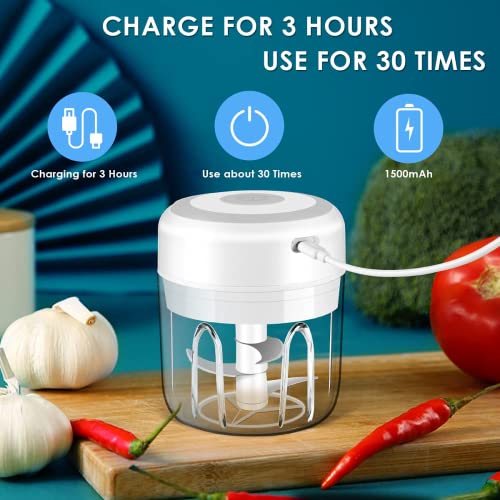 Electric Mini Garlic Chopper, Portable Food Processor, Vegetable Chopper Onion Mincer, Cordless Meat Grinder with USB Charging for Vegetable, Pepper, Onion, Baby Food, Seasoning, Nuts (BPA-Free)