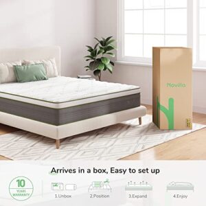 Novilla Queen Mattress,12 Inch Gel Memory Foam Hybrid Mattress in a Box with Individual Pocket Springs, Motion Isolation & Pressure Relief, Medium Firm Queen Size Bed Mattresses, vigour