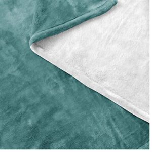 OAKSTORE I'm A Math Teacher Soft Fleece Throw Blanket, Gift for Teacher Blanket for Bed and Couch (Medium Fleece Blanket (60"x50") - Green Pistachio)