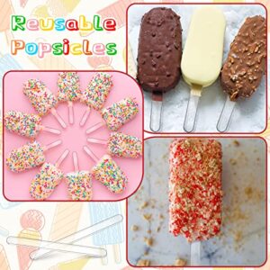 Romooa 30 Pieces Acrylic Sticks Reusable Cakesicle Sticks Cake Pop Mold Mirror Ice Pop Sticks Ice Cream Cakesicle Mold for Home Cake Candy Gifts Party Craft (4.5 Inches, Transparent)