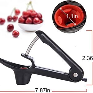 Cherry Pitter Tool,Cherries Pitter Olive Seed Remover Tool Cherry Stoner Pitter Cherry Corer Tool with Space-Saving Lock Design for Make Fresh Cherries Dishes and Cocktail Cherries