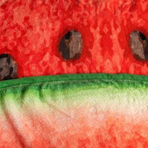 Watermelon Slice Round Fleece Throw Blanket | Plush Soft Polyester Cover For Sofa and Bed, Cozy Home Decor Room Essentials | Cute Gifts and Collectibles | 60 Inches