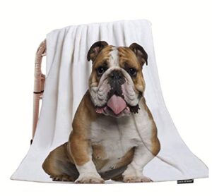 hgod designs throw blanket bulldog,funny english bulldog sitting against soft warm decorative throw blanket for bed chair couch sofa 30"x40"
