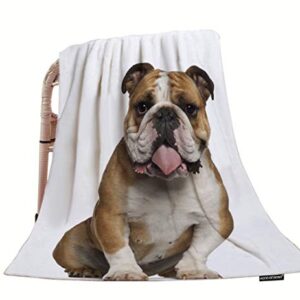 HGOD DESIGNS Throw Blanket Bulldog,Funny English Bulldog Sitting Against Soft Warm Decorative Throw Blanket for Bed Chair Couch Sofa 30"X40"