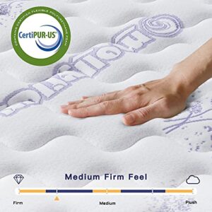 Vesgantti Tight Top Series - 10 Inch Innerspring Hybrid Full Mattress/Bed in a Box, Medium Firm Plush Feel - Multi-Layer Memory Foam and Pocket Spring - CertiPUR-US Certified