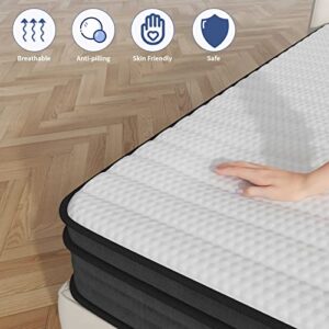 Crayan Queen Mattress, Memory Foam Mattress Queen Size, 10 Inch Hybrid Mattress in a Box with Individual Pocket Spring for Motion Isolation & Silent Sleep, CertiPUR-US, 100 Nights Trial