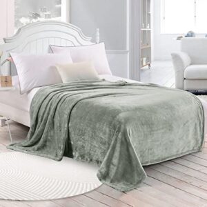 premium soft throw blankets, fuzzy bed throw blanket sherpa cozy and warm, fur throw blanket for women& man (50x60, silver grey blanket)