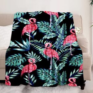 Ptvaivi Plush Fleece Flannel Blankets, Super Soft Lightweight Throw Blanket 50x60 Inch Warm Cozy Blanket for Travel Camping Car (Pink Flamingo)