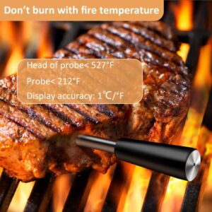 Wireless Meat Thermometer, Smart Bluetooth Meat Thermometer with 165ft Wireless Range, Food Thermometer for Grill, Oven, BBQ, Kitchen, Smoker, Air Fryer, Rotisserie (1 Probe)