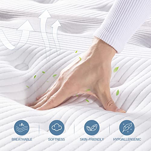 Lechepussleep Queen Mattress,Lechepus 14 Inch Hybrid Memory Foam Mattresses with Pocket Springs,Mattress in Box,Plush Feel Euro Top Mattress for Cool Sleep & Back Pain Relief,CertiPUR-US Foam