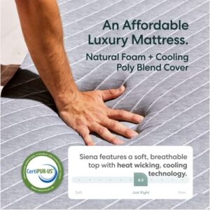 Siena Queen Mattress - Memory Foam 10" - Medium Firm - 180 Night Trial - 5 Premium Layers - Breathable Cool Comfort Sleep Bed in a Box, 10-Year Warranty, White