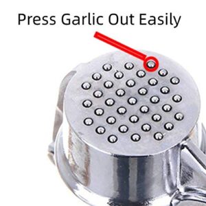 Garlic Press for Kitchen, Ginger Peeler Garlic Crusher