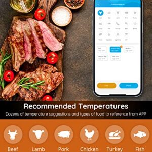 Govee WiFi Meat Thermometer, Wireless Meat Thermometer with 4 Probe, Smart Bluetooth Grill Thermometer with Remote App Notification Alert, Digital Rechargeable BBQ Thermometer for Smoker Oven Kitchen