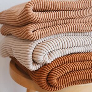 Lumi Living 100% Soft Cotton Textured Raised Stripes Rib Knit Throw Blanket with Tassels (Neutral)