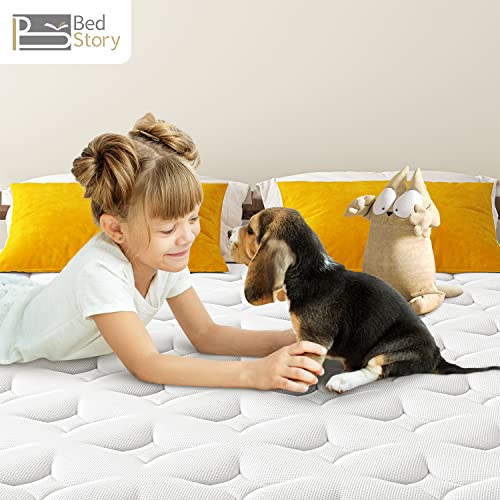 BedStory Full Size Mattress 12 Inch Medium Firm Hybrid Mattress, Pressure Relieving Memory Foam and Individual Pocket Springs, Double Bed Mattress in a Box Made in USA