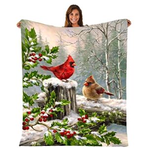 Blanket Red Christmas Birds Throw Blanket Ultra Soft Velvet Blanket Lightweight Bed Blanket Quilt Durable Home Decor Fleece Blanket Sofa Blanket Luxurious Carpet for Men Women Kids