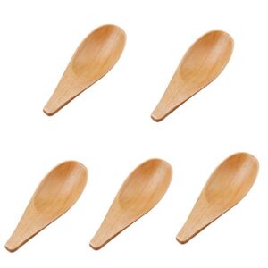 5 pieces mini wooden spoons, small salt spoon with short handle mini wood scoop for spice jars tea coffee milk powder, natural color