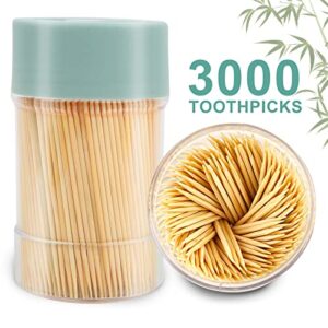trtrin bamboo toothpicks [3000 count] - with reusable toothpick holder, sturdy smooth finish tooth picks, for party, appetizer, olive, barbecue, fruit and teeth cleaning, green.