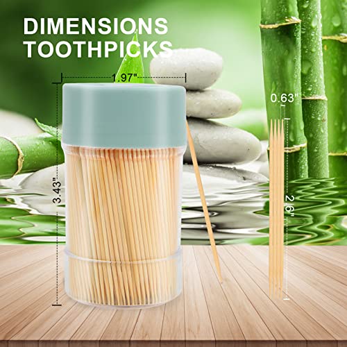 TRTRin Bamboo Toothpicks [3000 Count] - With Reusable Toothpick Holder, Sturdy Smooth Finish Tooth Picks, for Party, Appetizer, Olive, Barbecue, Fruit and Teeth Cleaning, Green.