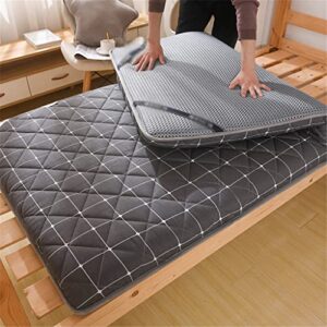 YLYAJY Plaid Fold Single Double Tatami Soft Mattress Adults Bedroom Thicken 6cm Topper Floor Mats Student Dormitory Mattress (Color : D, Size : 100 x 200cm 2.8kg)