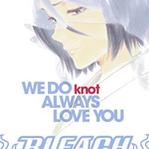 BLEACH WE DO knot ALWAYS LOVE YOU (JUMP j BOOKS)