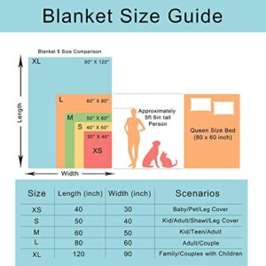 Angaja Light Grey Fleece Blanket Throw | Super Soft, Plush, Luxury Flannel Throw | for Bed, Sofa, Couch, Travel, Camping 40"x30"（XS） for pet