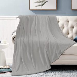 Angaja Light Grey Fleece Blanket Throw | Super Soft, Plush, Luxury Flannel Throw | for Bed, Sofa, Couch, Travel, Camping 40"x30"（XS） for pet