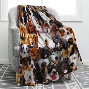 Jekeno Dogs Blanket Husky Shiba Inu Pomeranian Bull Terrier Smooth Soft Print Throw Blanket for Bed Couch Sofa Gift Kid Adult 50"x60"