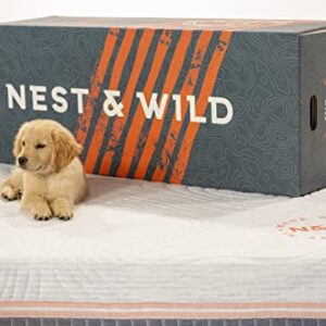 Nest & Wild Mattress Plush 12 Inch | Made in The USA | 100% Fiberglass-Free Cool Touch Cover | Ventilated Memory Foam | Bed in a Box | CertiPUR-US & OEKO-TEX100 Certified Foams (King)