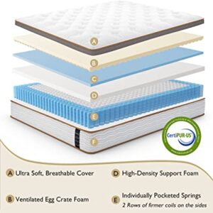 BedStory Queen Mattress - Made in USA - 14 Inch Hybrid Mattress Medium Feel, Individually Wrapped Coils for Pressure Relief & Motion Isolation, 80”x60”x14”