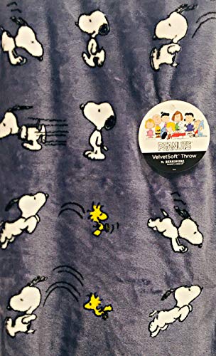 Snoopy & Woodstock Playtime Velvet Soft Cozy Plush Throw Blanket | 55" x 70" | by Berkshire Blanket & Home Co.