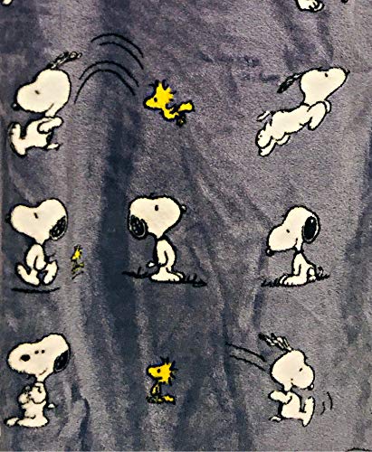 Snoopy & Woodstock Playtime Velvet Soft Cozy Plush Throw Blanket | 55" x 70" | by Berkshire Blanket & Home Co.