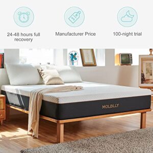 Molblly Full Mattress, Hybrid 12 inch Full Size Mattresse in a Box with Gel Memory Foam & Individually Pocket Coils, Motion Isolation Bed Mattress Full Size 54"*75"*12"