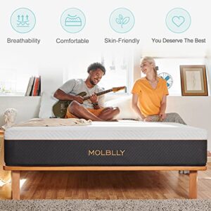 Molblly Full Mattress, Hybrid 12 inch Full Size Mattresse in a Box with Gel Memory Foam & Individually Pocket Coils, Motion Isolation Bed Mattress Full Size 54"*75"*12"