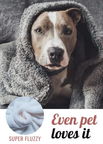 InnoBeta Pitbull Gifts for Pitties Lovers, Pitbull Flannel Blanket Throws for Pitt Dog Mom Dad, 50 x 65 inches, Perfect for Birthday Christmas Thanksgiving Mother's Day