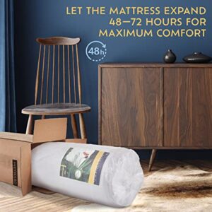 Heyward 4.5” Trifold Sofa + Mattress | Queen Size | Portable CertiPUR-US Certified Firm Foam Mattress Folds Into Couch | Washable Panne Velvet Material w/Non-Slip Base | 78”L x 58”W x 4.5”H